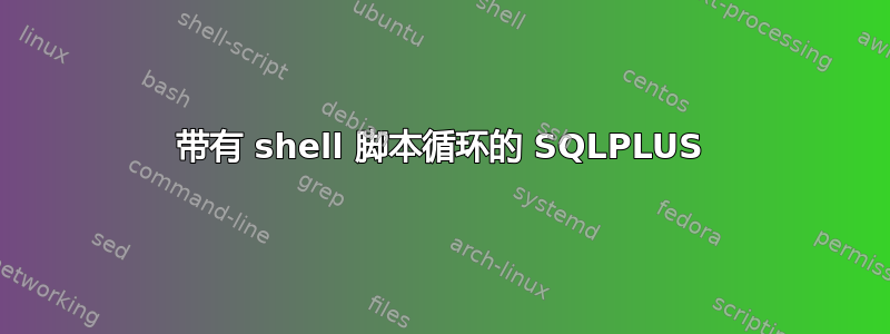 带有 shell 脚本循环的 SQLPLUS