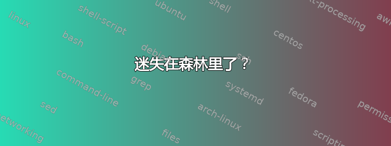 迷失在森林里了？