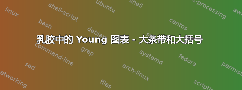 乳胶中的 Young 图表 - 大条带和大括号