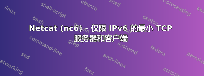 Netcat (nc6) - 仅限 IPv6 的最小 TCP 服务器和客户端