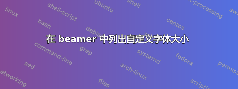 在 beamer 中列出自定义字体大小