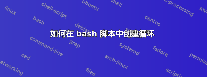 如何在 bash 脚本中创建循环