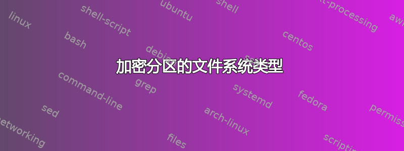 加密分区的文件系统类型