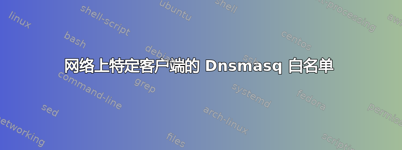 网络上特定客户端的 Dnsmasq 白名单