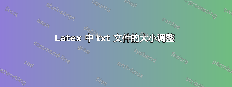 Latex 中 txt 文件的大小调整