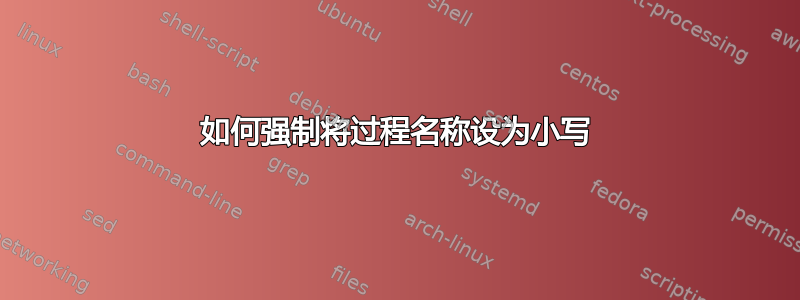 如何强制将过程名称设为小写