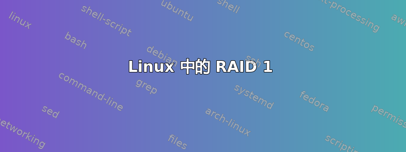 Linux 中的 RAID 1