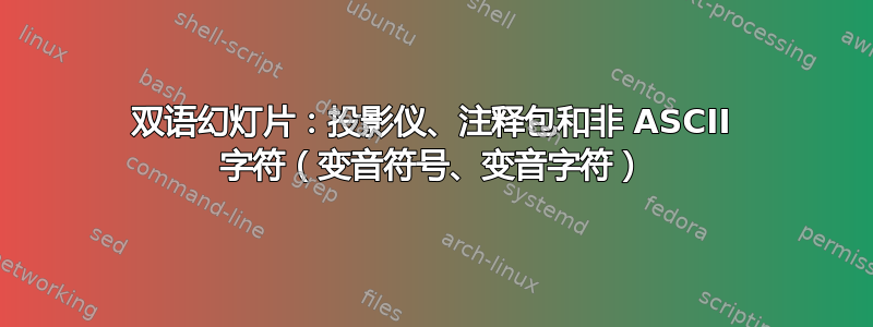 双语幻灯片：投影仪、注释包和非 ASCII 字符（变音符号、变音字符）