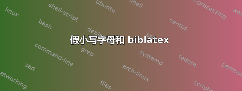 假小写字母和 biblatex