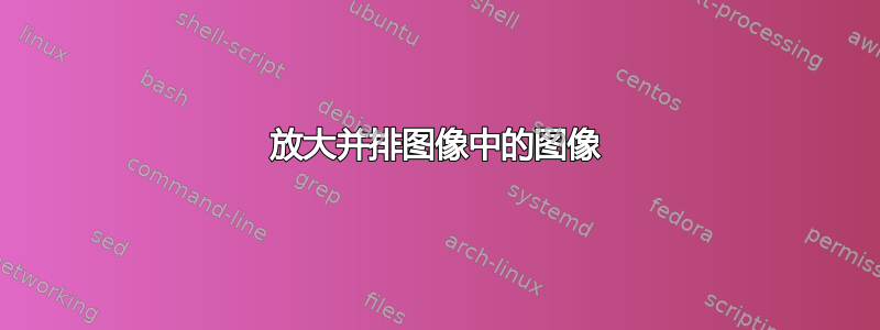 放大并排图像中的图像