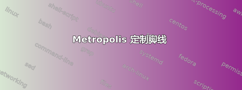 Metropolis 定制脚线