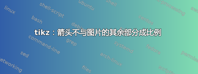 tikz：箭头不与图片的其余部分成比例