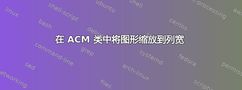 在 ACM 类中将图形缩放到列宽