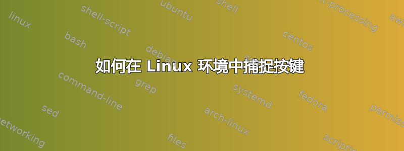 如何在 Linux 环境中捕捉按键