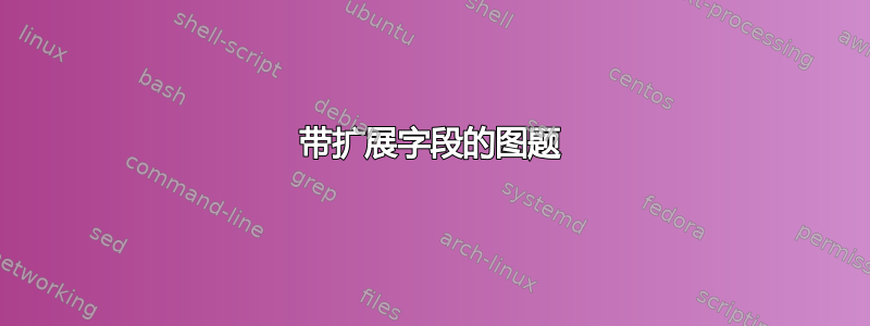 带扩展字段的图题