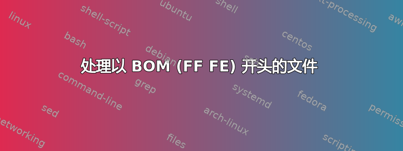 处理以 BOM (FF FE) 开头的文件