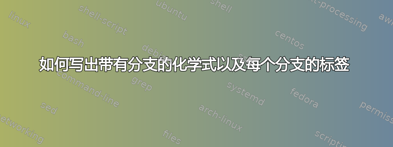 如何写出带有分支的化学式以及每个分支的标签