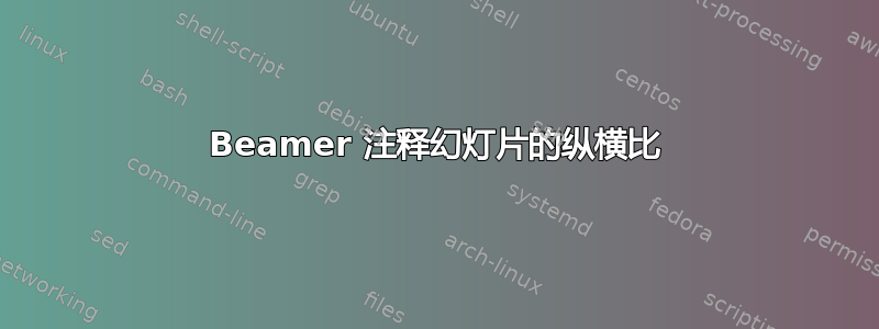 Beamer 注释幻灯片的纵横比