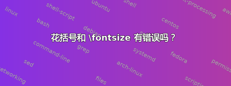 花括号和 \fontsize 有错误吗？