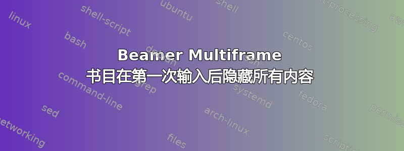 Beamer Multiframe 书目在第一次输入后隐藏所有内容