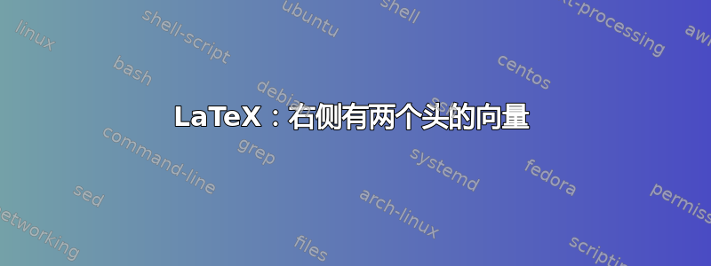 LaTeX：右侧有两个头的向量