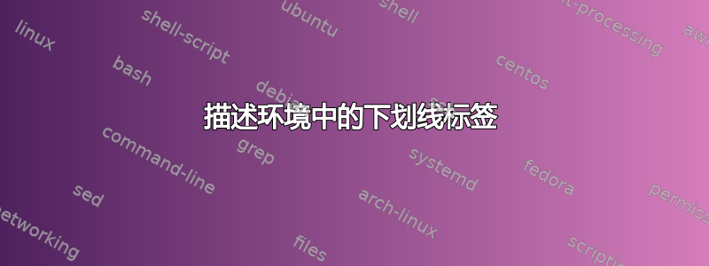 描述环境中的下划线标签