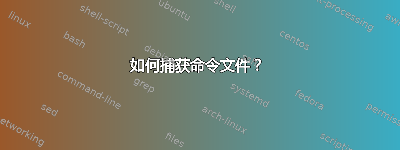 如何捕获命令文件？