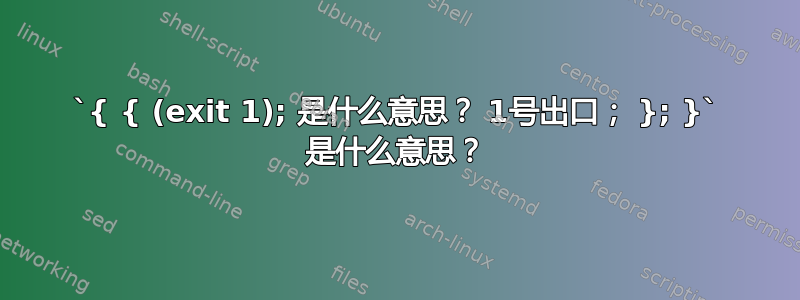 `{ { (exit 1); 是什么意思？ 1号出口； }; }` 是什么意思？