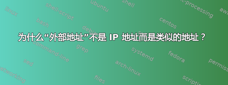 为什么“外部地址”不是 IP 地址而是类似的地址？