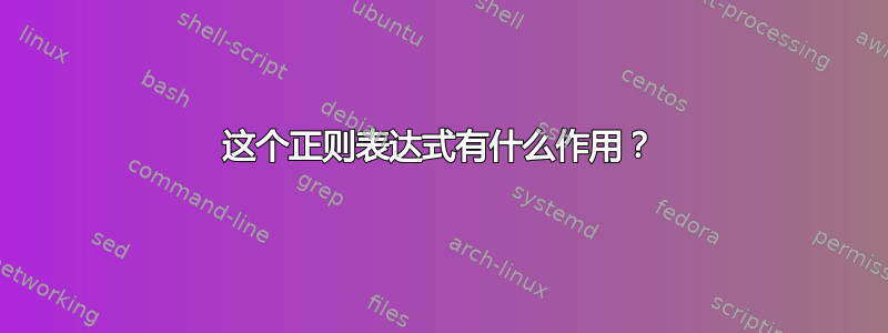 这个正则表达式有什么作用？