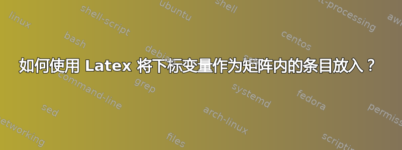 如何使用 Latex 将下标变量作为矩阵内的条目放入？