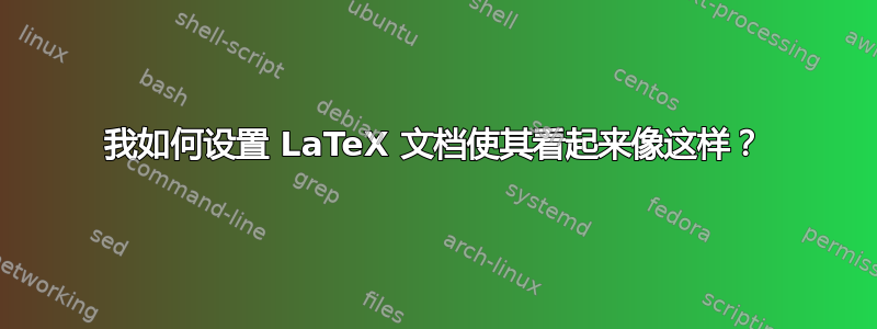 我如何设置 LaTeX 文档使其看起来像这样？