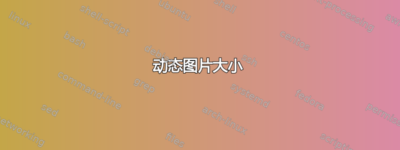 动态图片大小