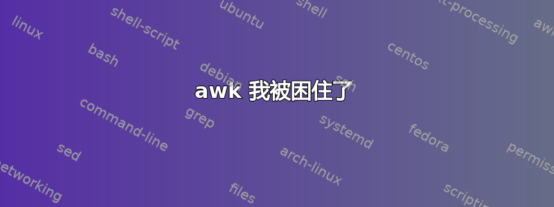 awk 我被困住了