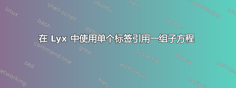 在 Lyx 中使用单个标签引用一组子方程