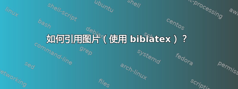 如何引用图片（使用 biblatex）？