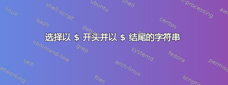 选择以 $ 开头并以 $ 结尾的字符串