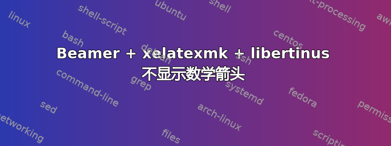 Beamer + xelatexmk + libertinus 不显示数学箭头