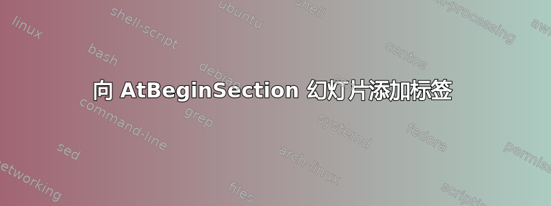 向 AtBeginSection 幻灯片添加标签