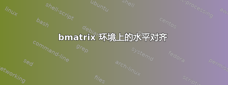 bmatrix 环境上的水平对齐