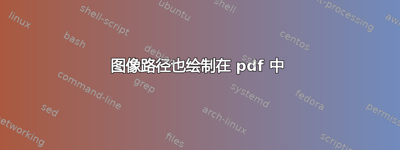 图像路径也绘制在 pdf 中