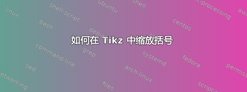 如何在 Tikz 中缩放括号