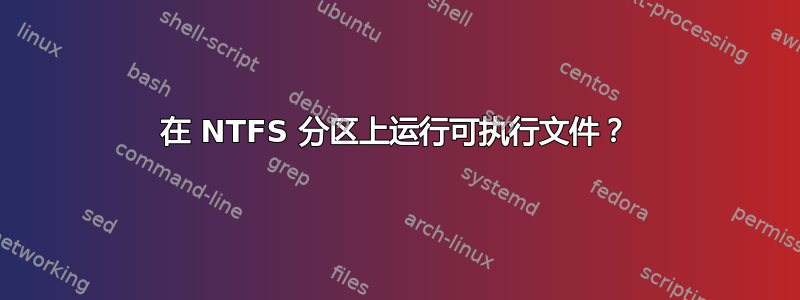 在 NTFS 分区上运行可执行文件？