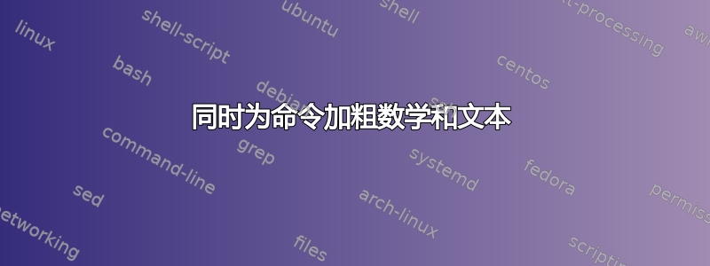 同时为命令加粗数学和文本