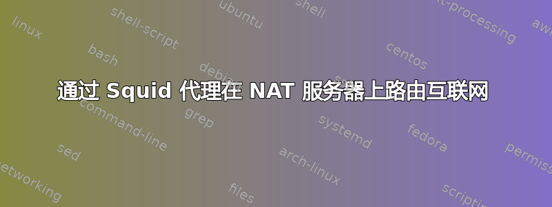 通过 Squid 代理在 NAT 服务器上路由互联网