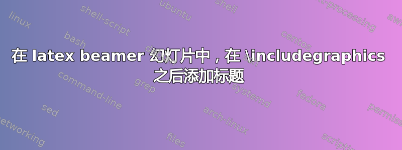 在 latex beamer 幻灯片中，在 \includegraphics 之后添加标题