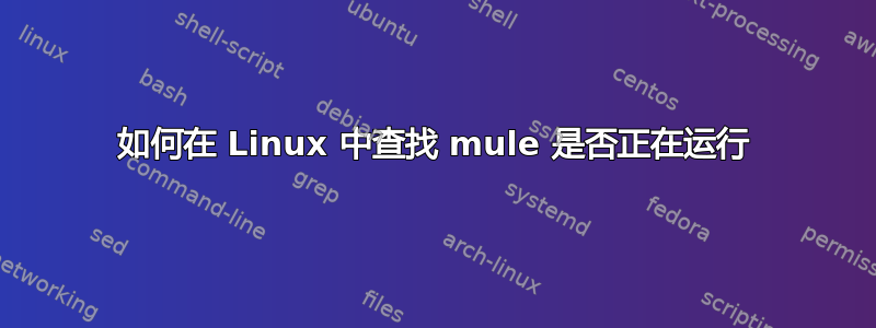 如何在 Linux 中查找 mule 是否正在运行