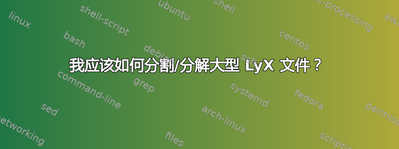 我应该如何分割/分解大型 LyX 文件？