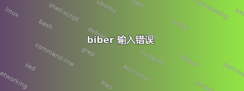 biber 输入错误