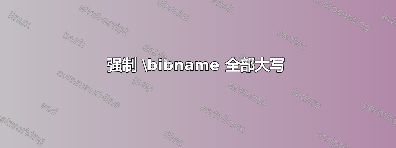 强制 \bibname 全部大写